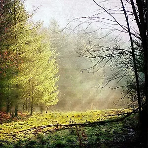 Borrowing The Past - Hammock Remix (single)