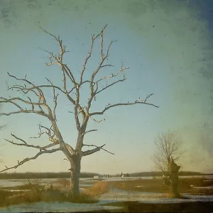 Imber - Stray Theories Remix (single)